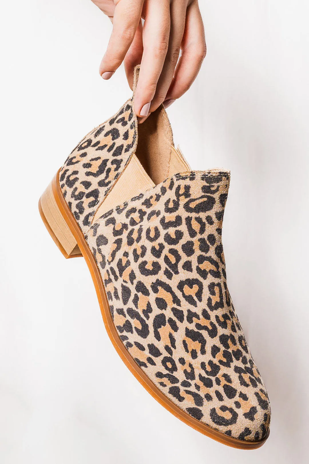 Aria Leopard