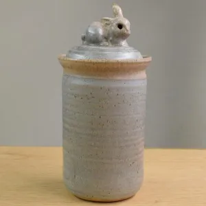 Bunny Cookie Jar Southwest Pass