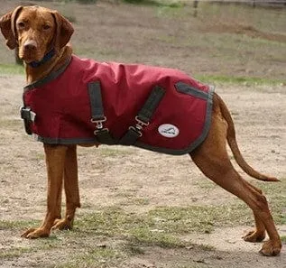 Eurohunter Thredbo Dog Rug (EHTHREDDOGR)
