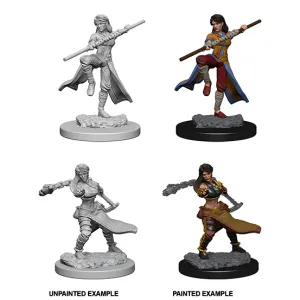 Human Monk (#1) She/Her - D&D Nolzur's Minis