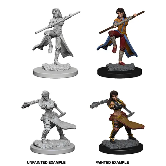 Human Monk (#1) She/Her - D&D Nolzur's Minis