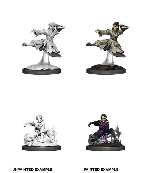Human Monk Female