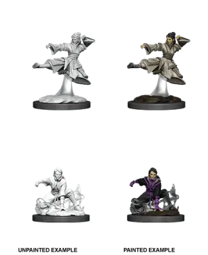 Human Monk Female