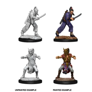 Human Monk He/Him - D&D Nolzur’s Minis
