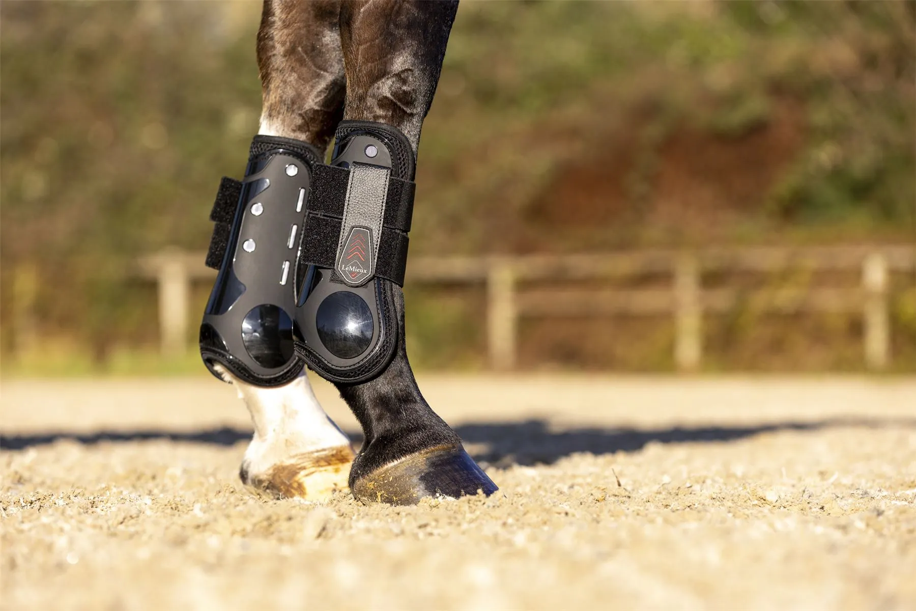 LeMieux Derby ProJump Tendon Boot