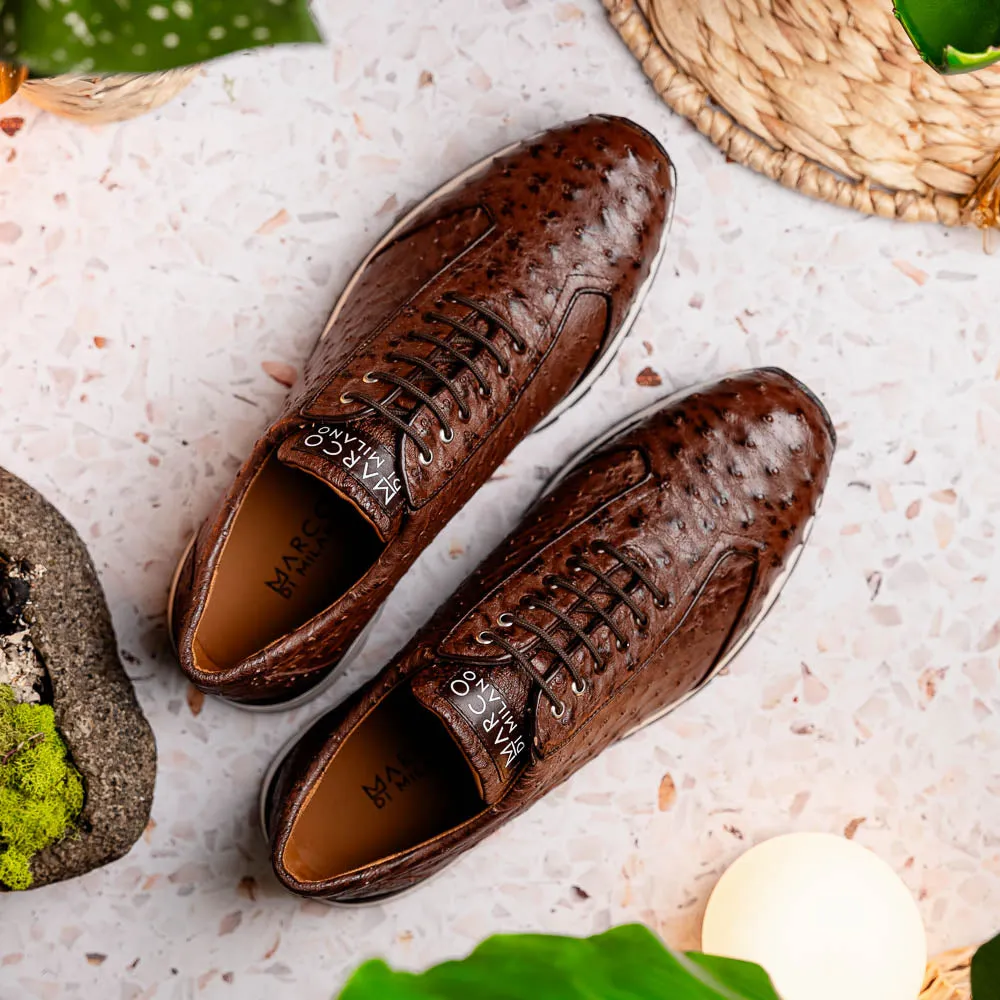 Marco Di Milano Scanno in Brown Ostrich Quill Sneakers