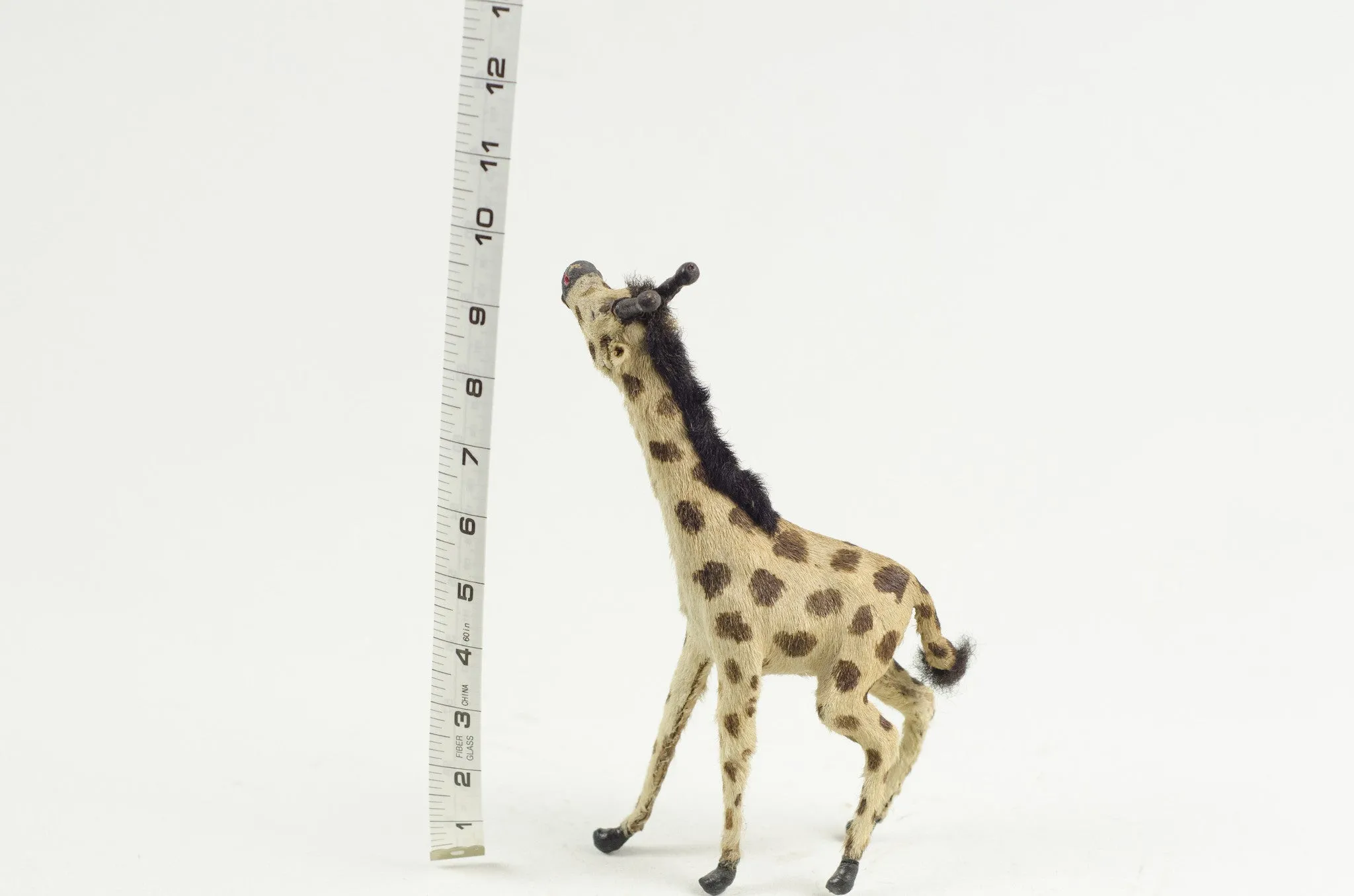 Miniature Taxidermy Giraffe