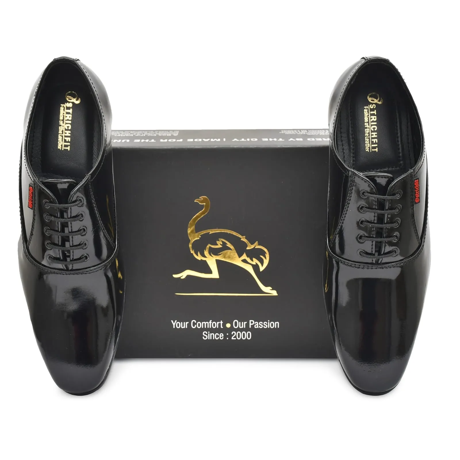 Ostrichfit men's lace-up shoes in Leather Black OF-6527 BLK