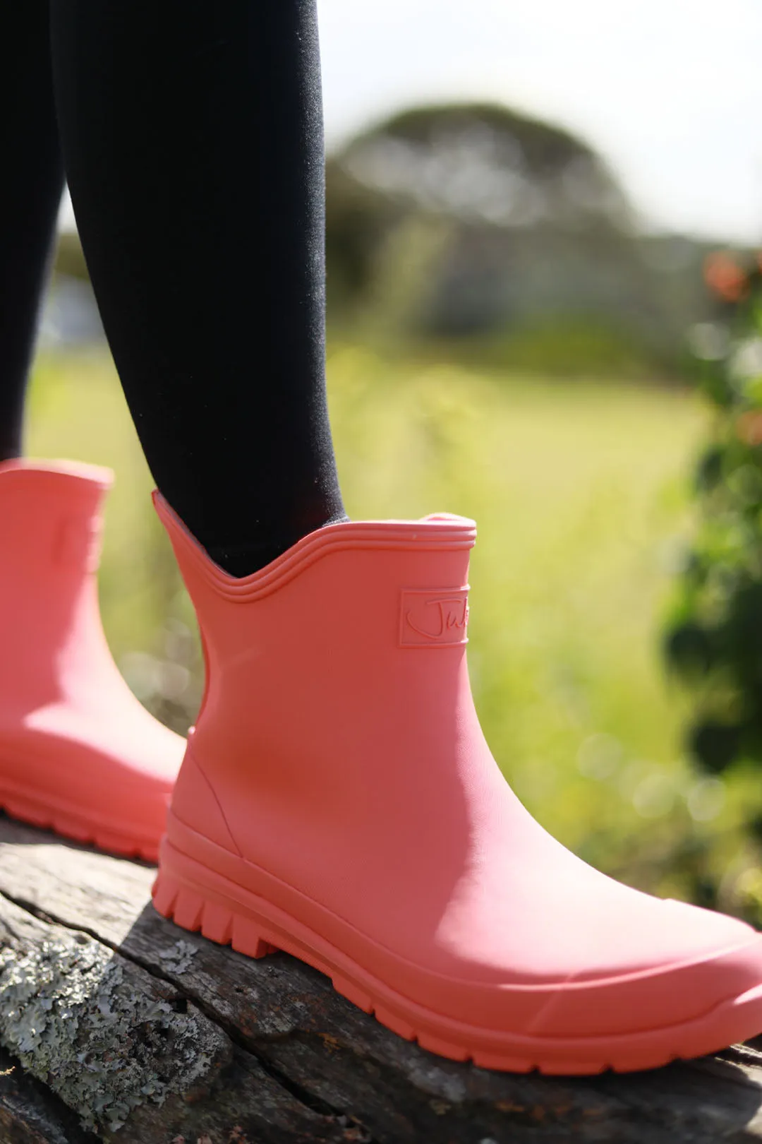Rainhaven Coral