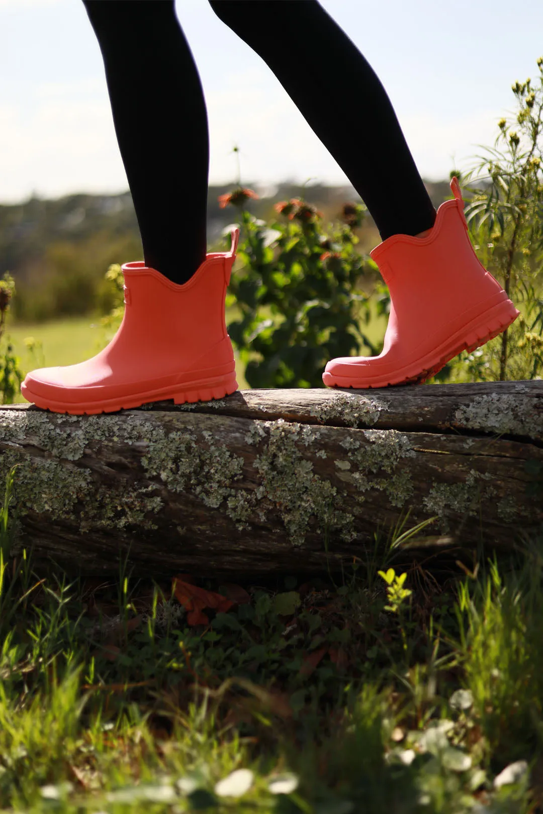 Rainhaven Coral