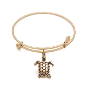 Sea Turtle, Bangle Antique Gold Color Finish