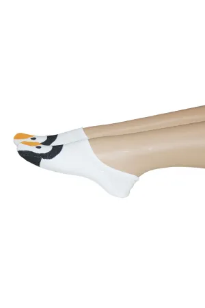 YM51 12 Pairs Cotton Blend, Made in Korea Penguins No Show Foot Liners